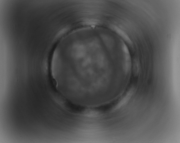 X0000094350207200711162036