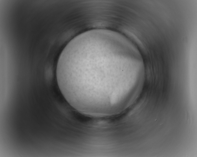 X0000094350208200711162036