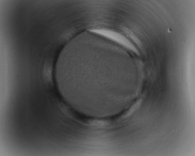 X0000094350209200711162036