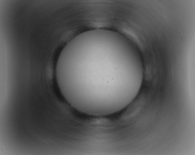 X0000094350210200711162036