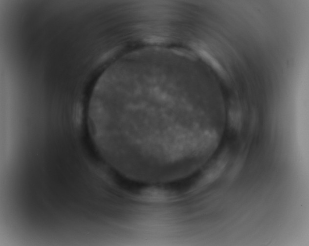 X0000094350211200711162036