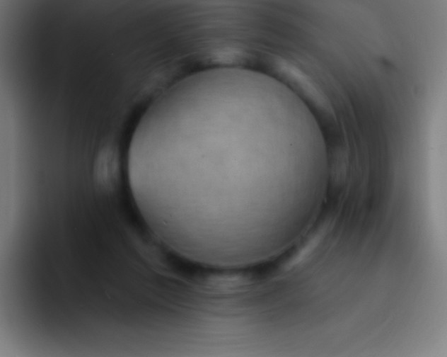 X0000094350213200711162036