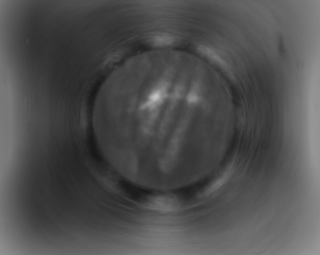 X0000094350215200711162036