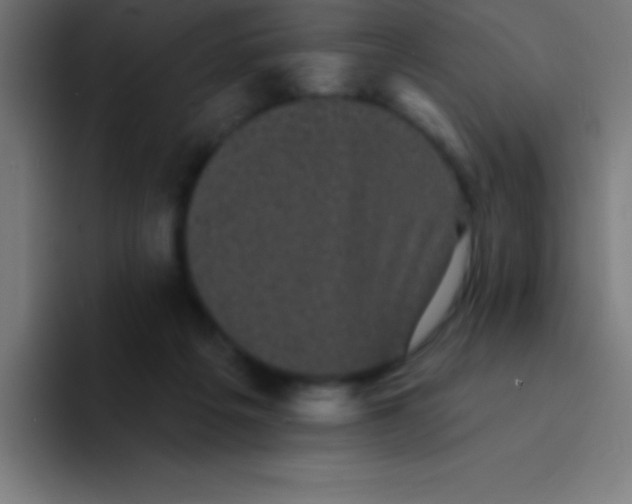 X0000094350217200711162036