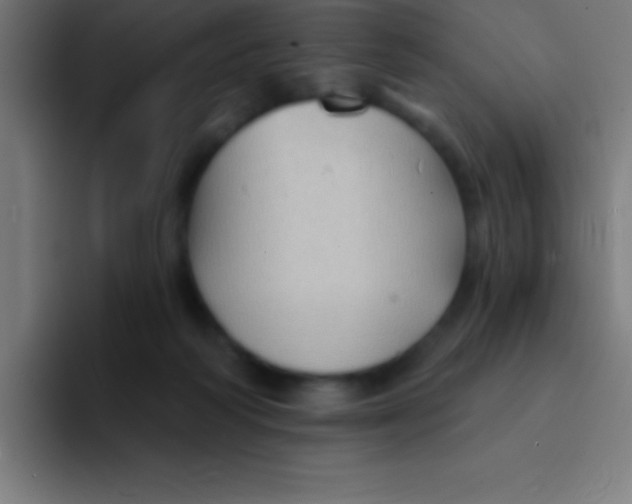 X0000094350218200711162036