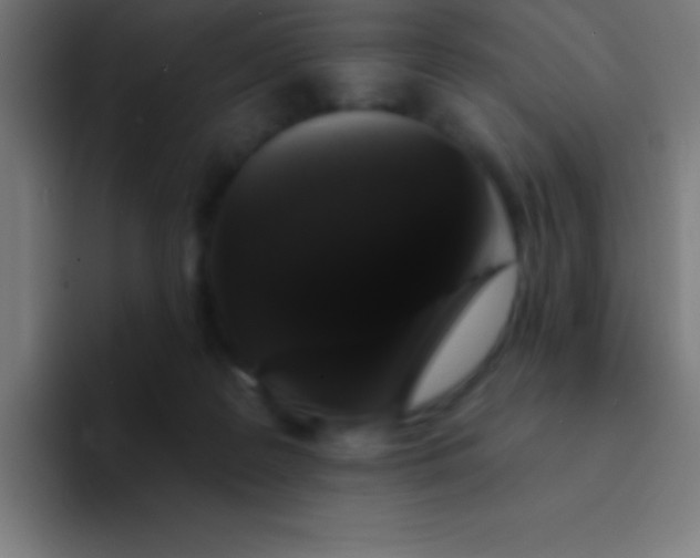 X0000094350219200711162036