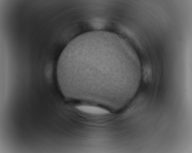 X0000094350221200711162036