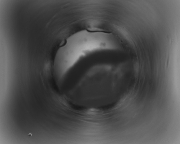 X0000094350222200711162036