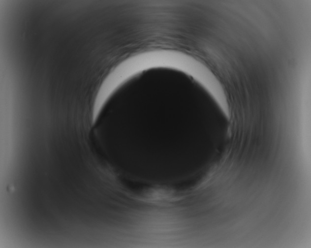 X0000094350223200711162036