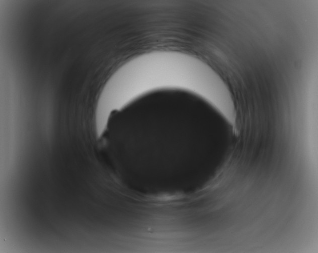 X0000094350224200711162036