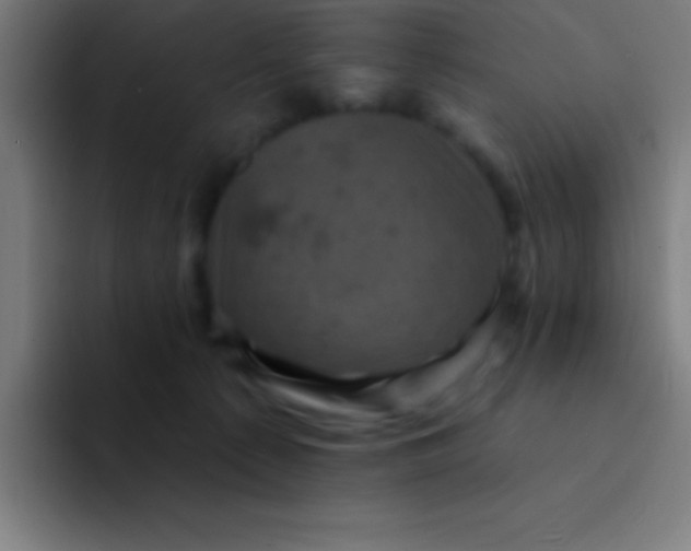 X0000094350225200711162036