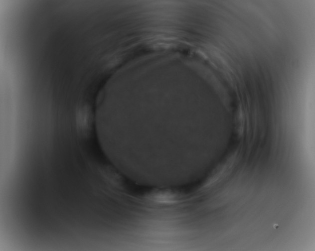 X0000094350228200711162036