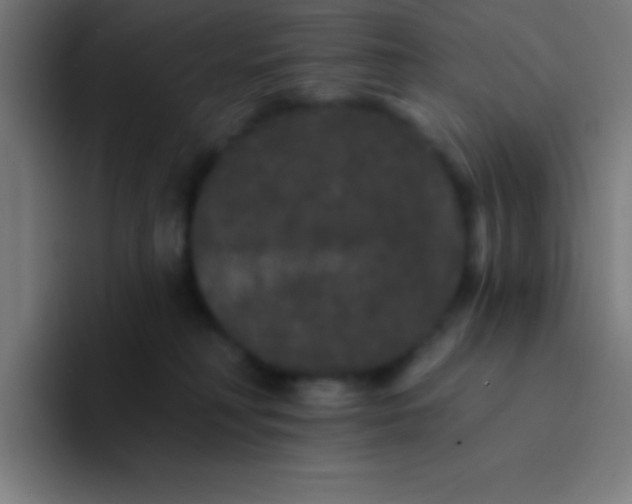 X0000094350230200711162036