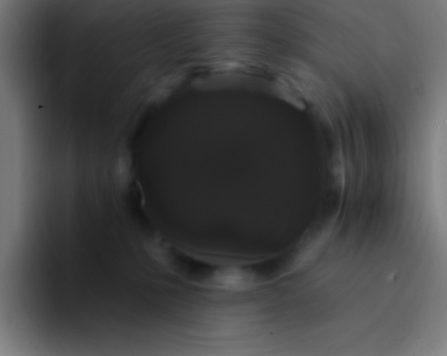 X0000094350231200711162036