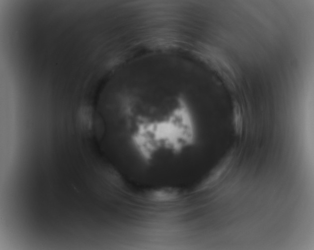 X0000094350232200711162036