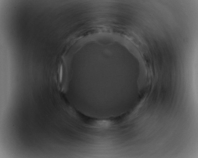 X0000094350233200711162036