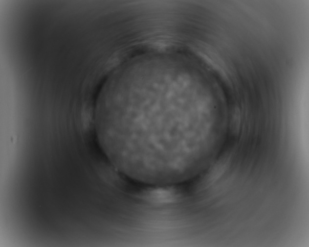 X0000094350236200711162036