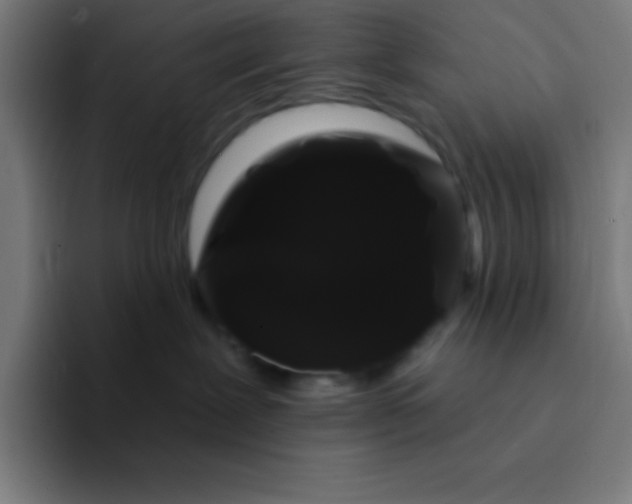 X0000094350239200711162036