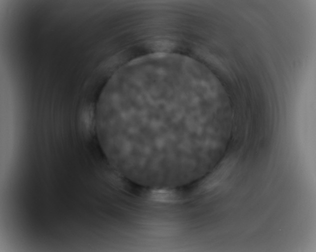 X0000094350240200711162036