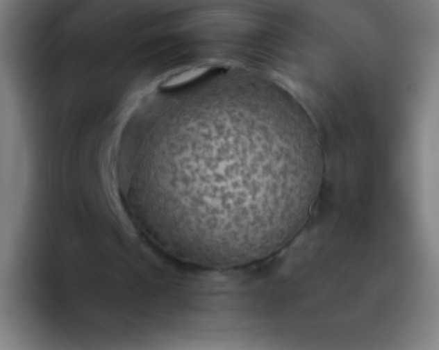 X0000094350241200711162035