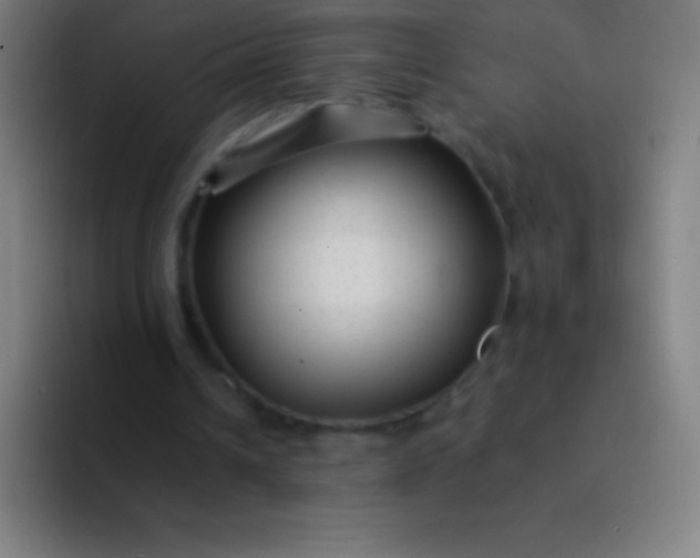 X0000094350242200711162035