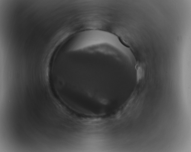 X0000094350243200711162035