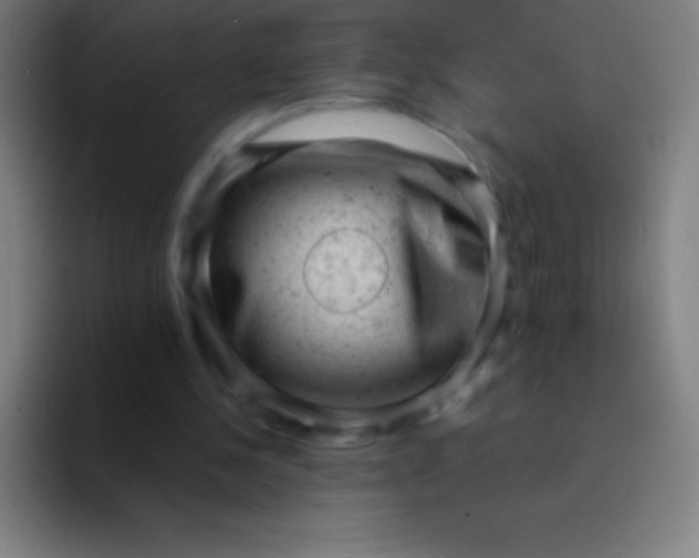 X0000094350244200711162035