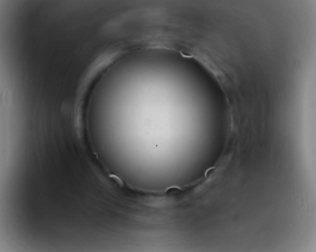 X0000094350245200711162035