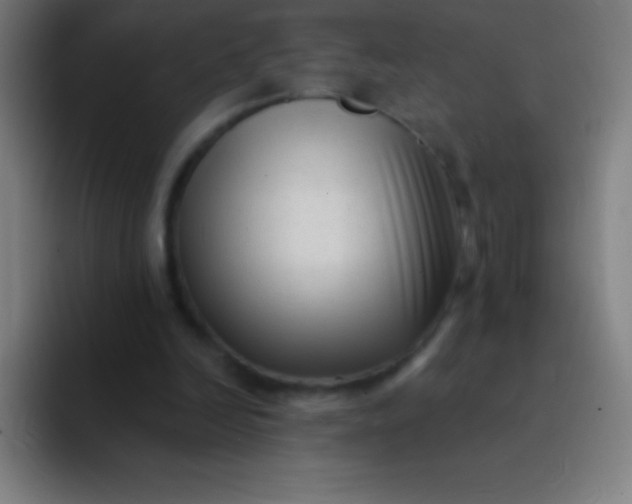 X0000094350246200711162035