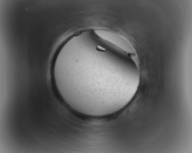 X0000094350248200711162035