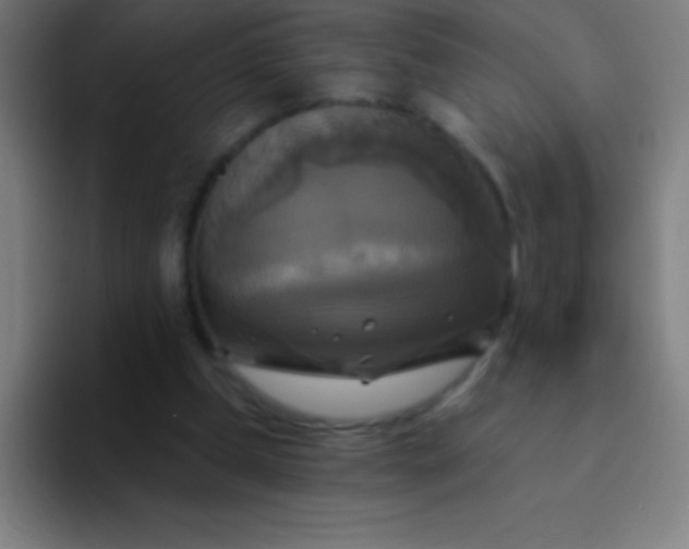 X0000094350249200711162035