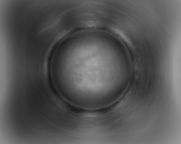 X0000094350250200711162035