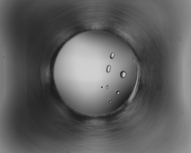 X0000094350251200711162035