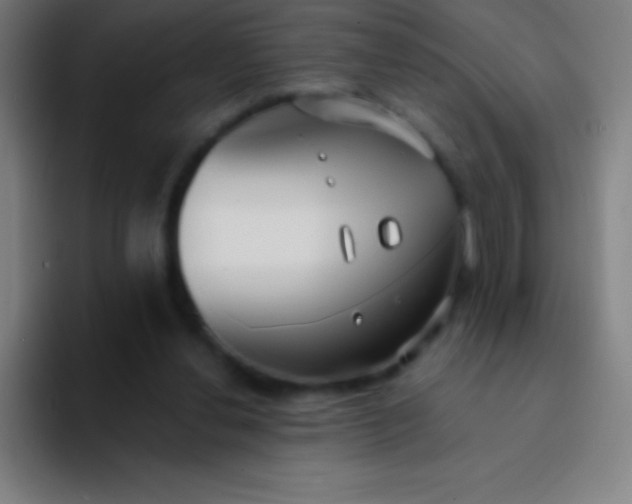 X0000094350252200711162035