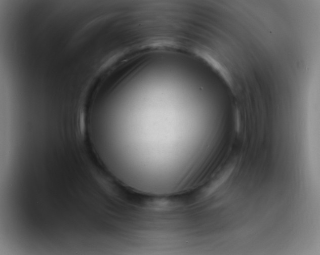 X0000094350253200711162035