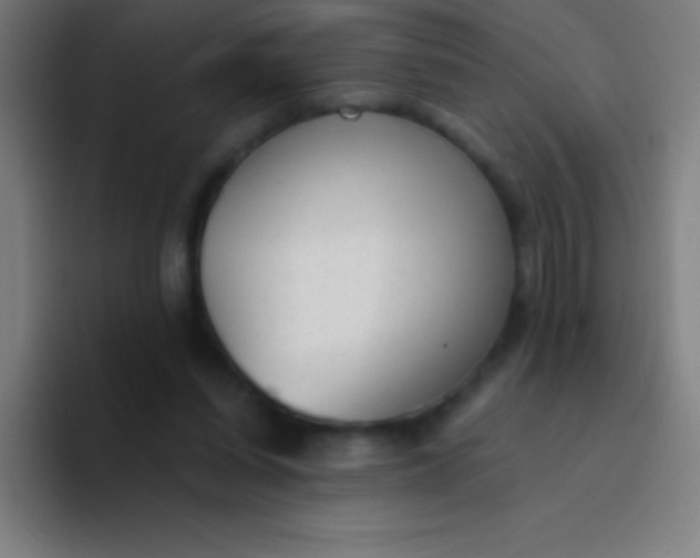 X0000094350254200711162035