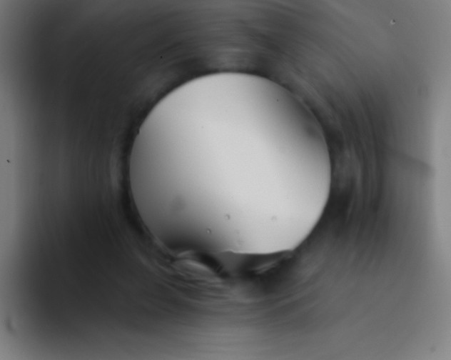 X0000094350255200711162036