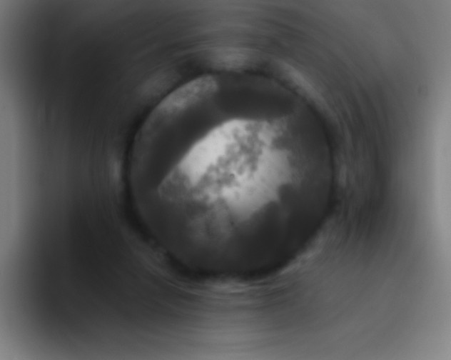 X0000094350258200711162036