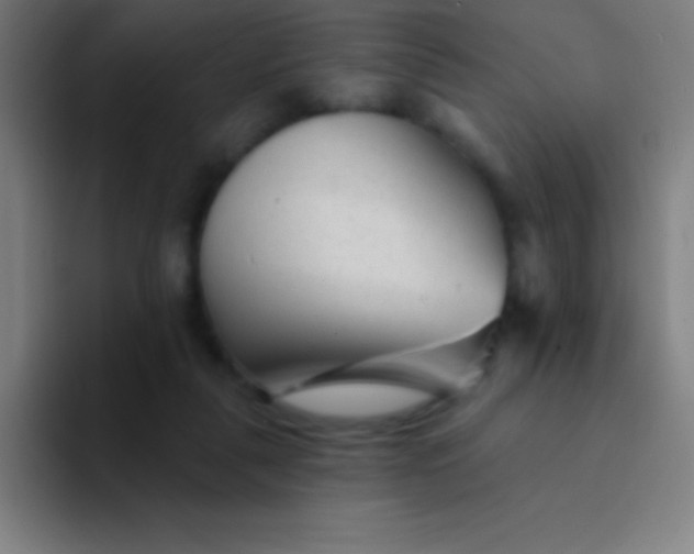 X0000094350259200711162036