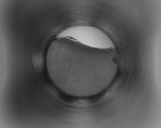 X0000094350260200711162036