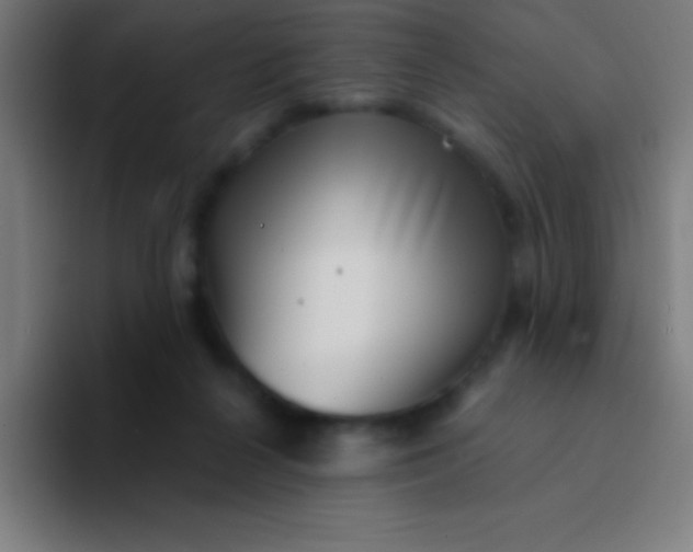 X0000094350264200711162036