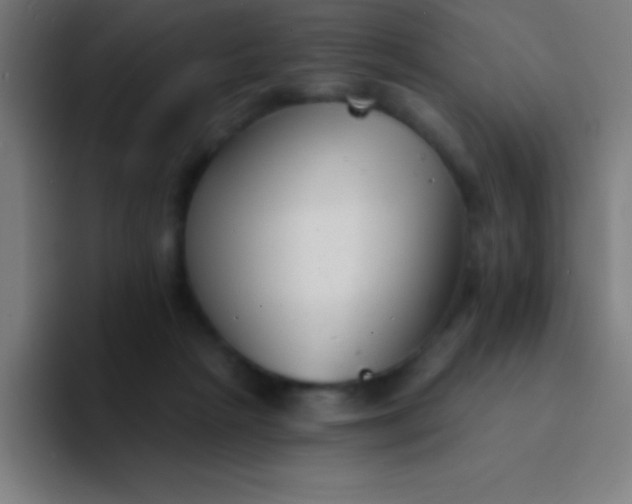 X0000094350265200711162036