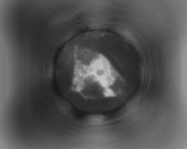 X0000094350266200711162036