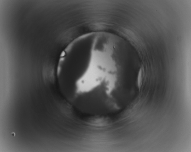 X0000094350267200711162036