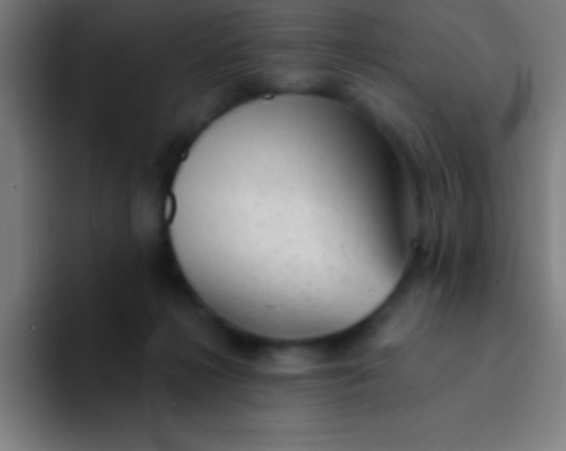 X0000094350268200711162036