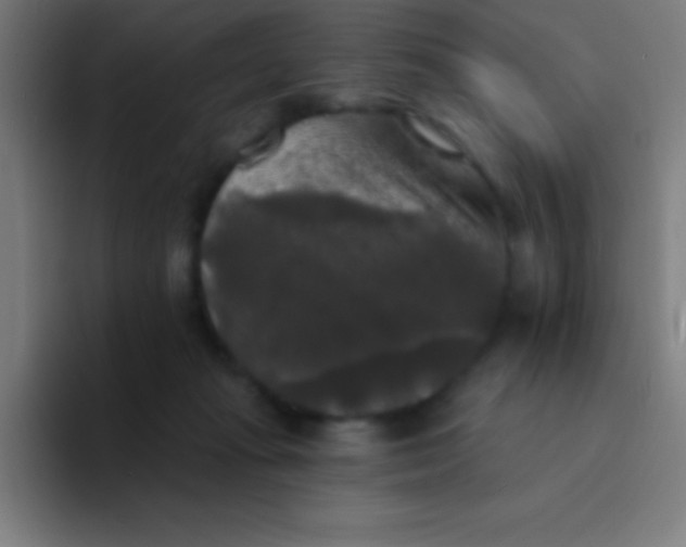 X0000094350269200711162036