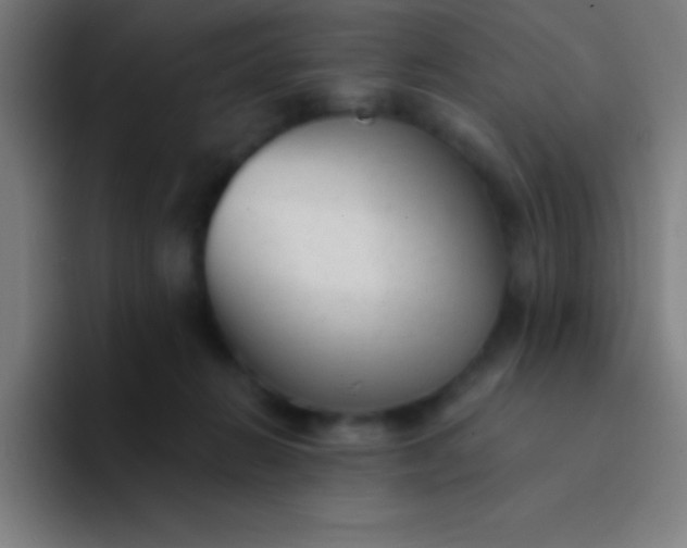 X0000094350270200711162036