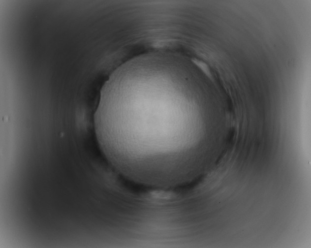 X0000094350272200711162036