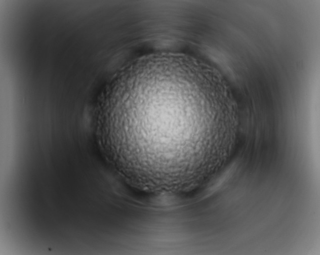 X0000094350273200711162036