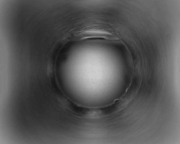 X0000094350274200711162036